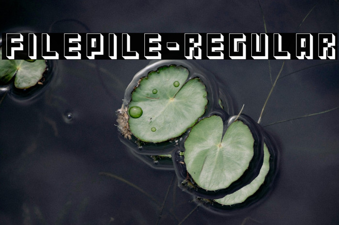 Filepile-Regular Example 3