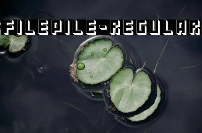 Filepile-Regular Example 3