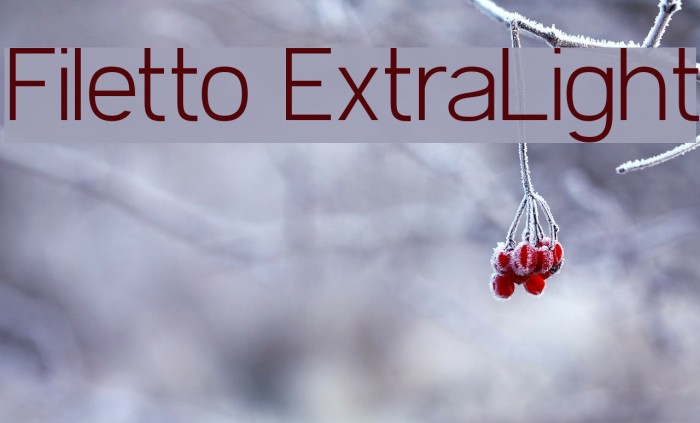 Filetto ExtraLight Font examples