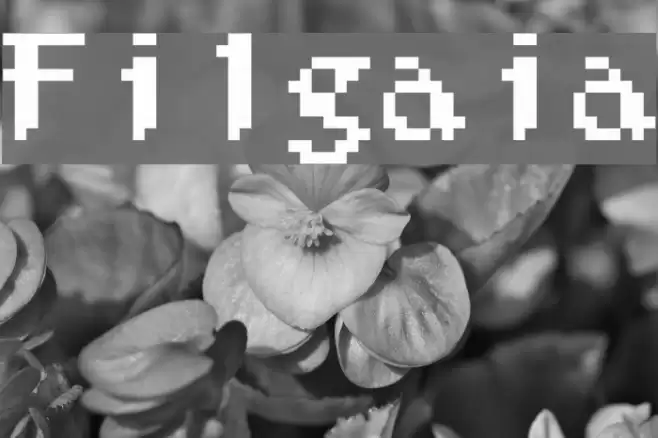 Filgaia Font examples