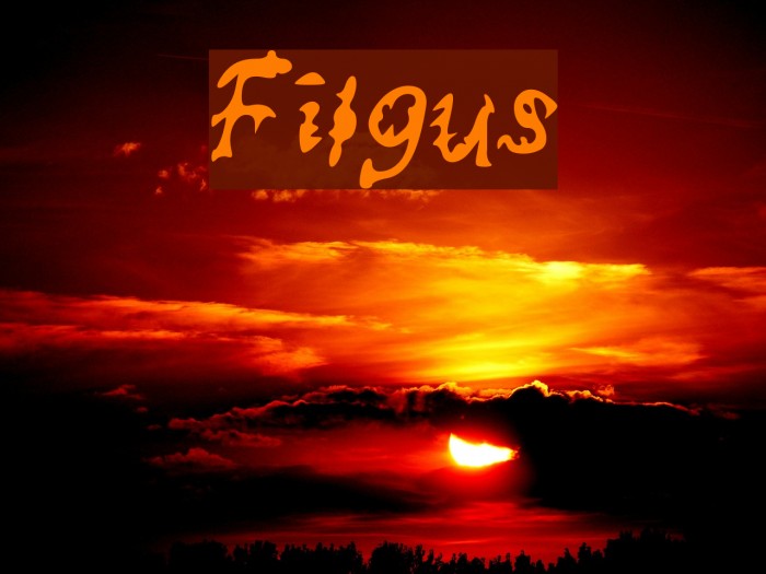 Filgus Font examples