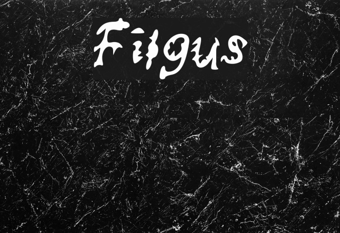 Filgus Font examples