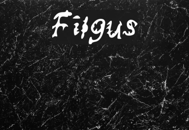 Filgus Example 3