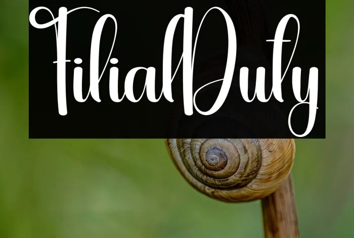 Filial Duty Example 1