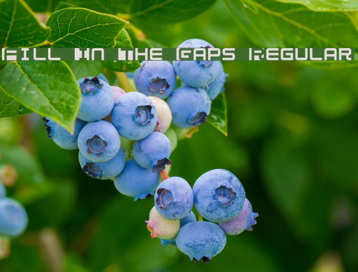 Fill In The Gaps Regular Font examples