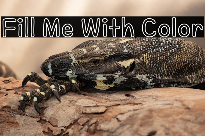 Fill Me With Color Example 1