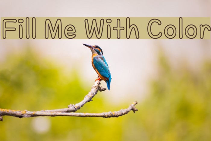 Fill Me With Color Fonte examples