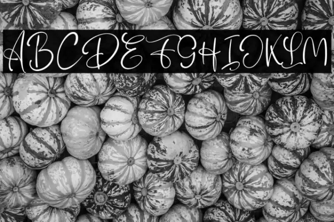 Fillaflow Font examples