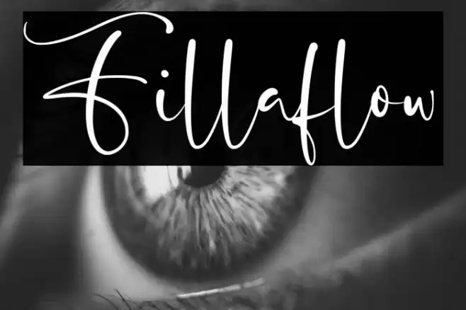 Fillaflow Font examples