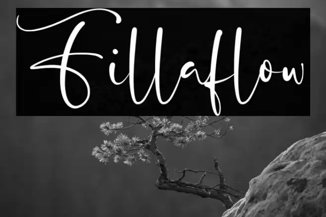 Fillaflow Font examples