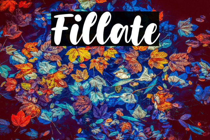 Fillate Example 1