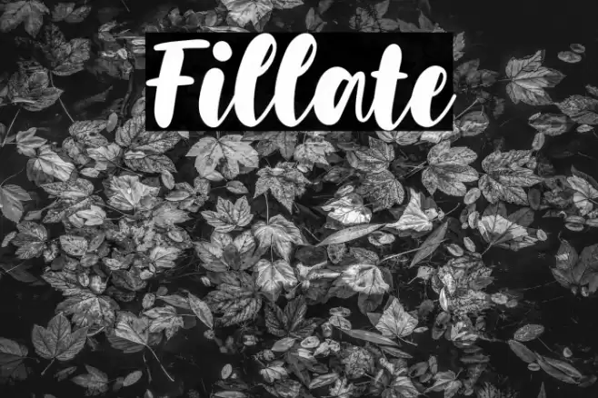 Fillate Font examples