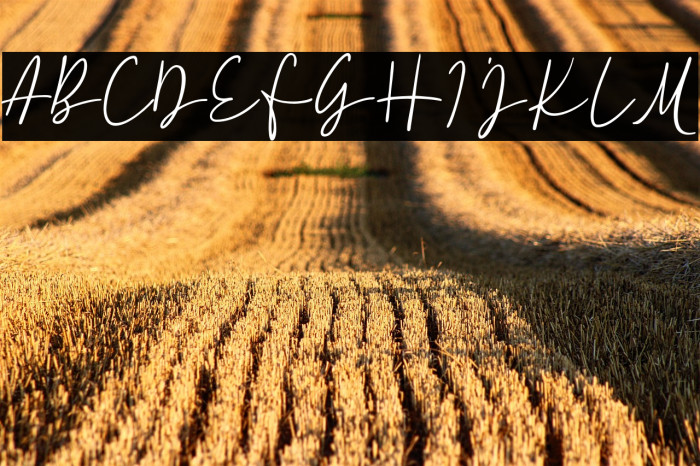 Fillerglad DEMO-Regular Example 2