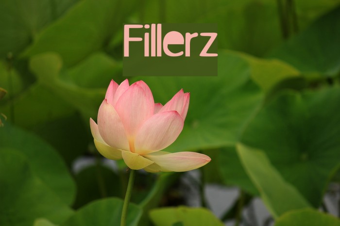 Fillerz フォント examples