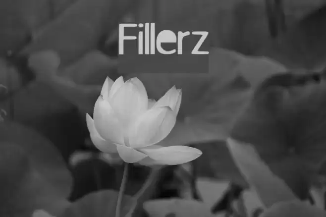 Fillerz Font examples