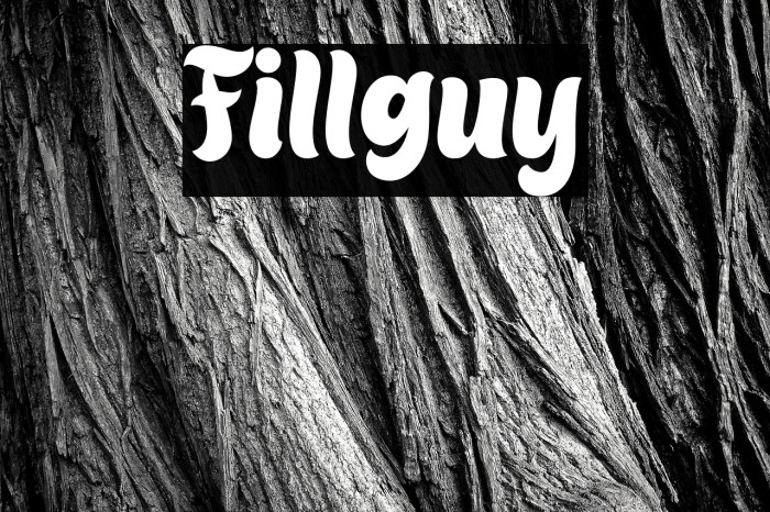 Fillguy Example 2