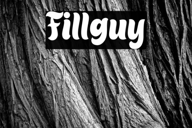 Fillguy Font examples