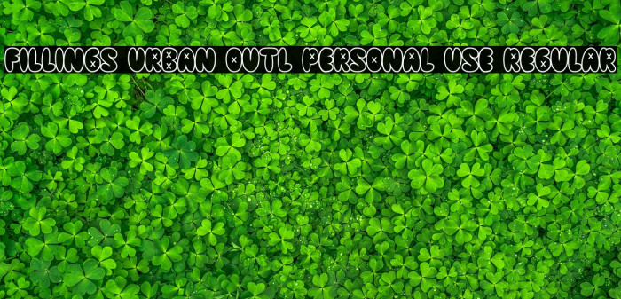 Fillings Urban Outl PERSONAL USE Regular Example 2