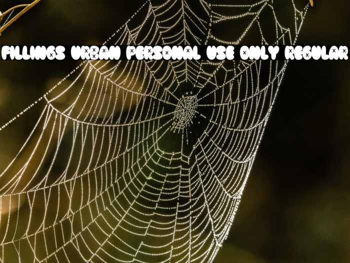 Fillings Urban PERSONAL USE ONLY Regular Example 3