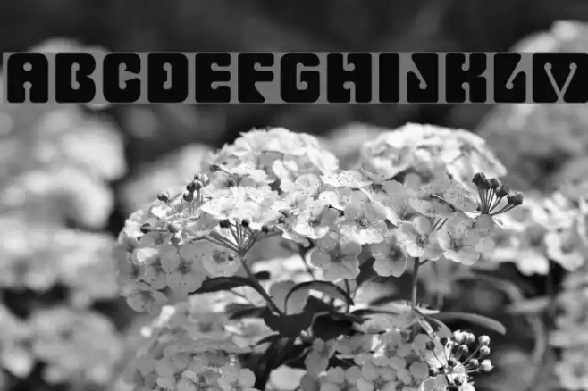 Fillmore Regular Font examples