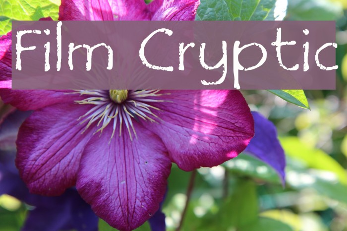 Film Cryptic Font examples