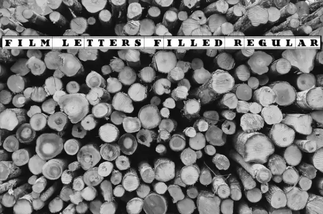 Film Letters Filled Regular Font examples