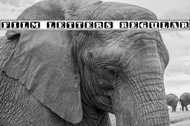 Film Letters Regular Font examples