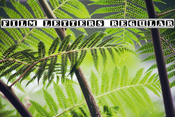 Film Letters Regular Example 3