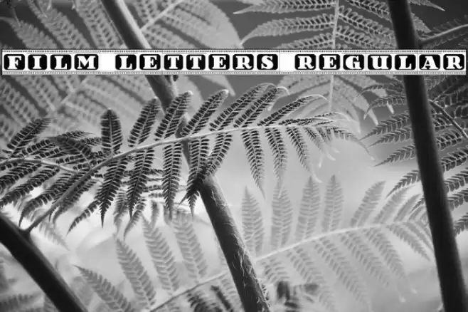 Film Letters Regular Font examples