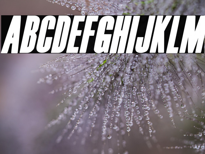 Film Noir Italic Example 3