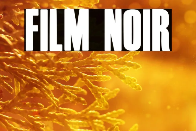Film Noir Example 1