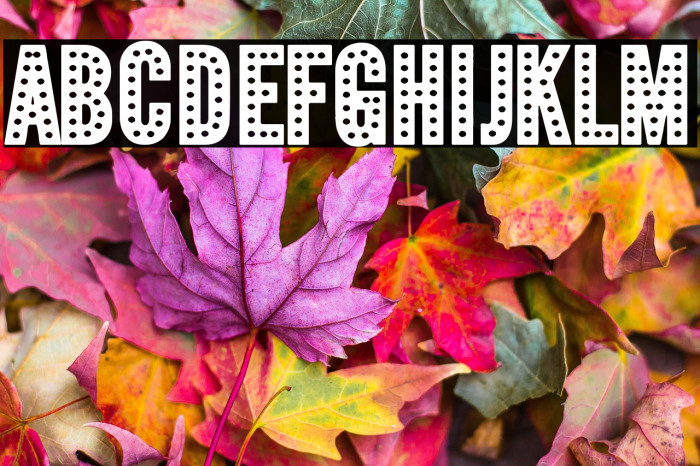 Film Premieres Example 1