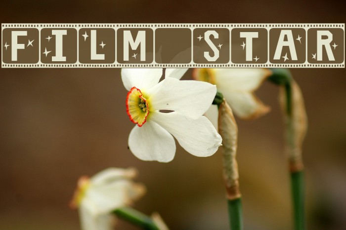 Film Star Font examples