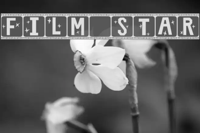 Film Star Font examples