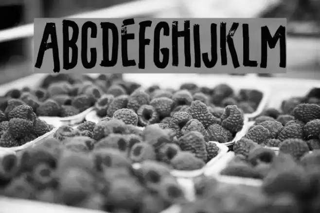 Filmgoer DEMO Regular Font examples