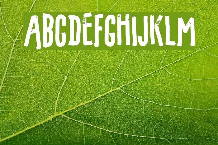 Filmgoer DEMO Regular Example 3