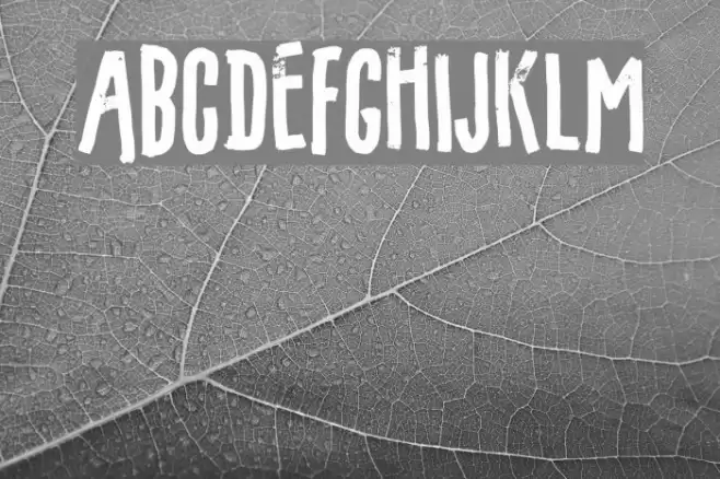 Filmgoer DEMO Regular Font examples