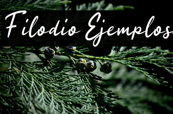 Filodio Ejemplos Example 3