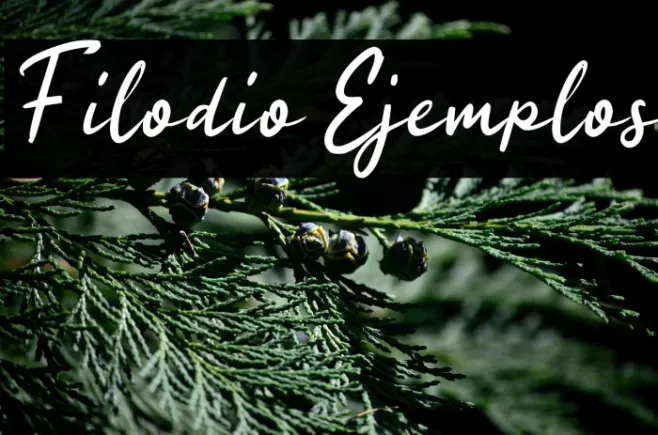 Filodio Ejemplos Example 3