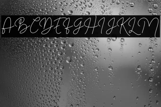 Filosofia Script Polices examples