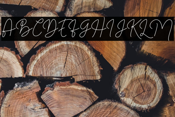 Filosofia Script Example 2