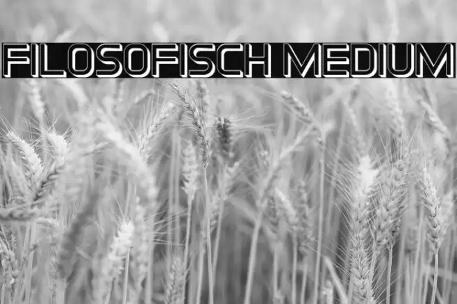 Filosofisch Medium Font examples