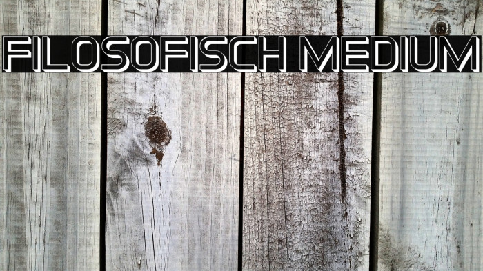 Filosofisch Medium Example 3