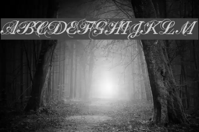 Filou Medium Font examples