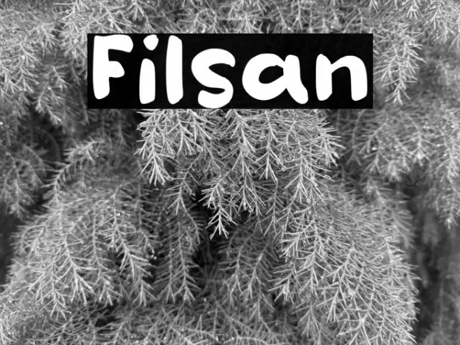 Filsan Font examples