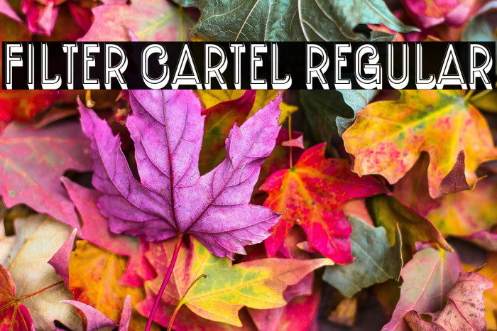 Filter Cartel Regular Example 1