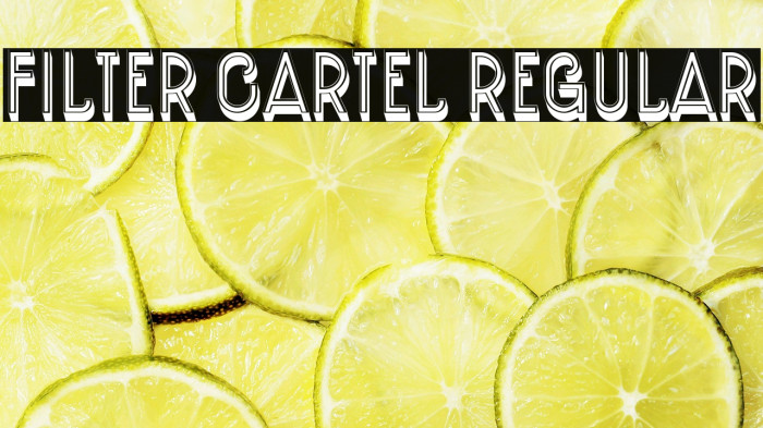 Filter Cartel Regular Example 2