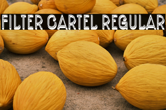 Filter Cartel Regular Example 3