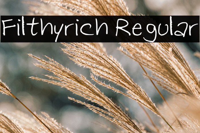 Filthyrich Regular Example 2