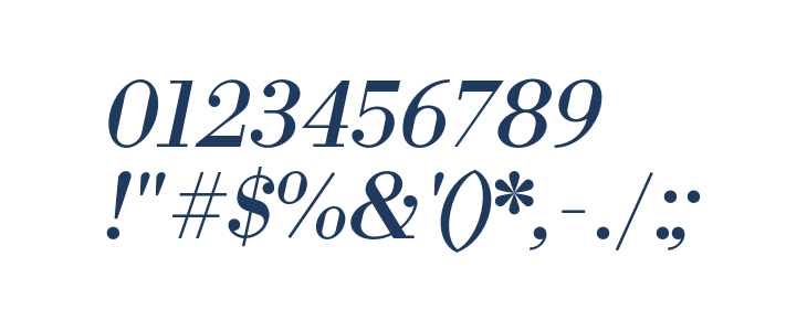 Fin Serif Display Italic Other Characters